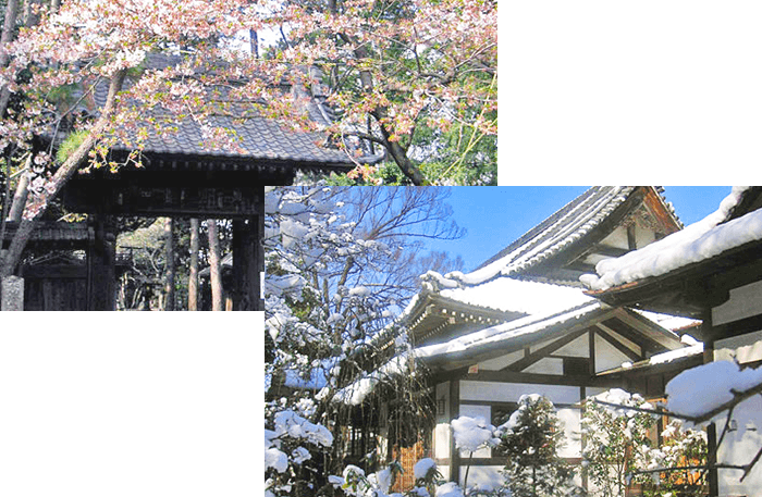 雲松山 泉龍寺 公式 東京都狛江市