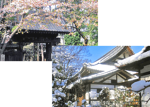 雲松山 泉龍寺の四季